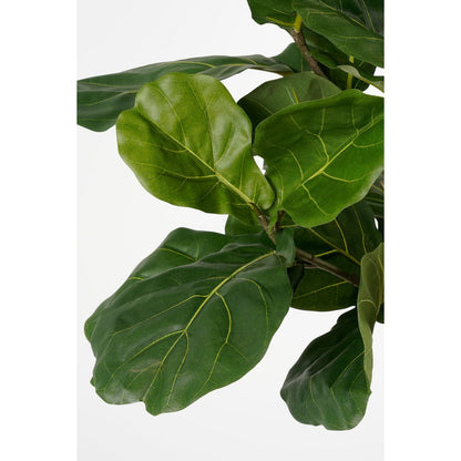 Ficus Lyrata Kunstplant - H165 x Ø95 - Groen