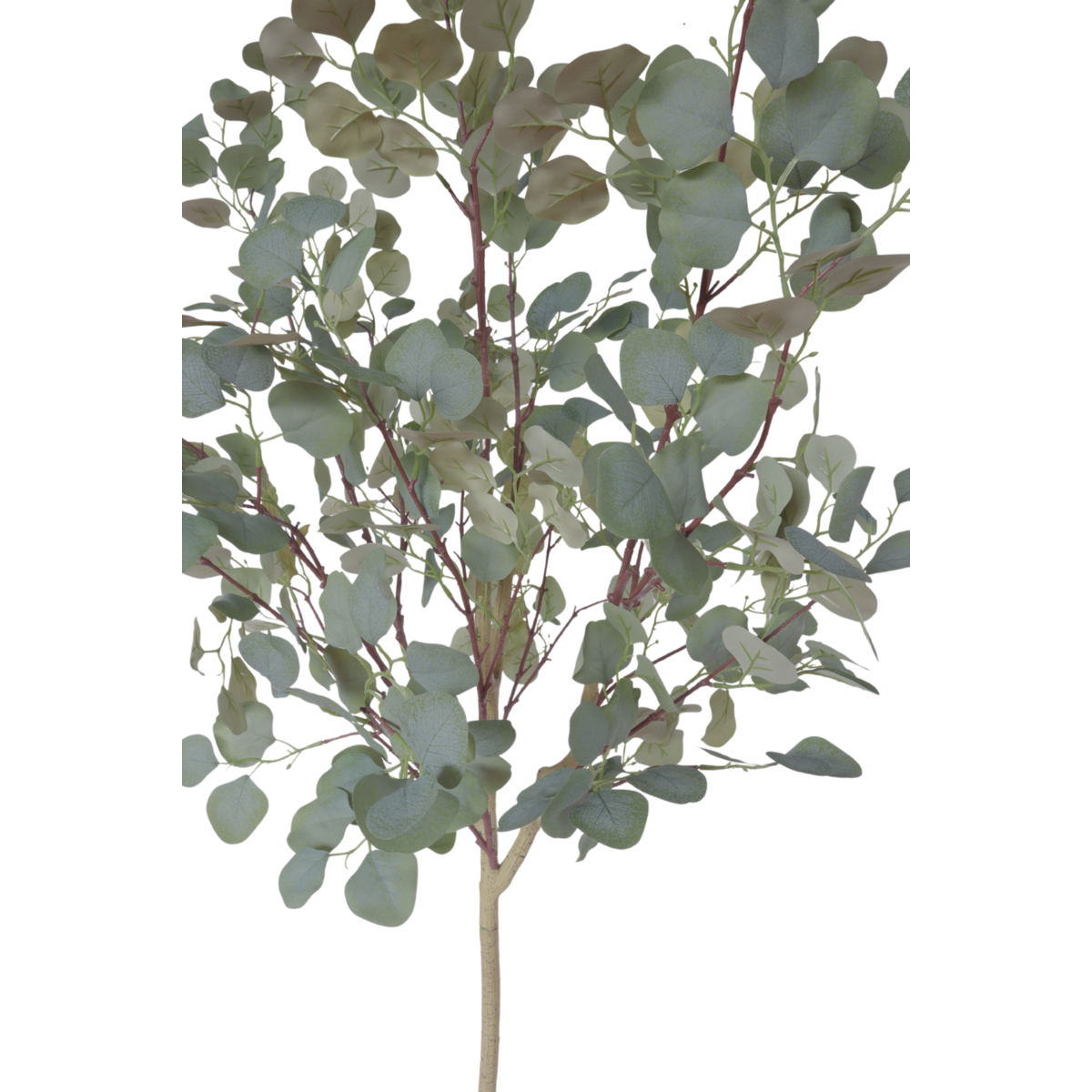 Eucalyptus Kunstboom 160cm