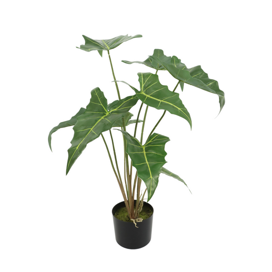 Alocasia Kunstplant 75cm