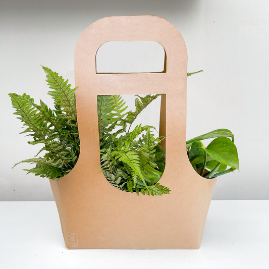 GIFTBAG L - 2 Succulents | Per 8 pieces