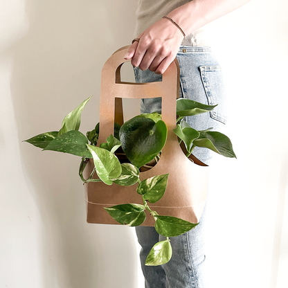 PLANTbag L | BIO Succulenten | 8 stuks