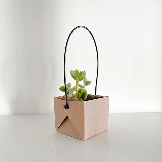 PLANTbag XS | BIO Succulenten | 100 stuks