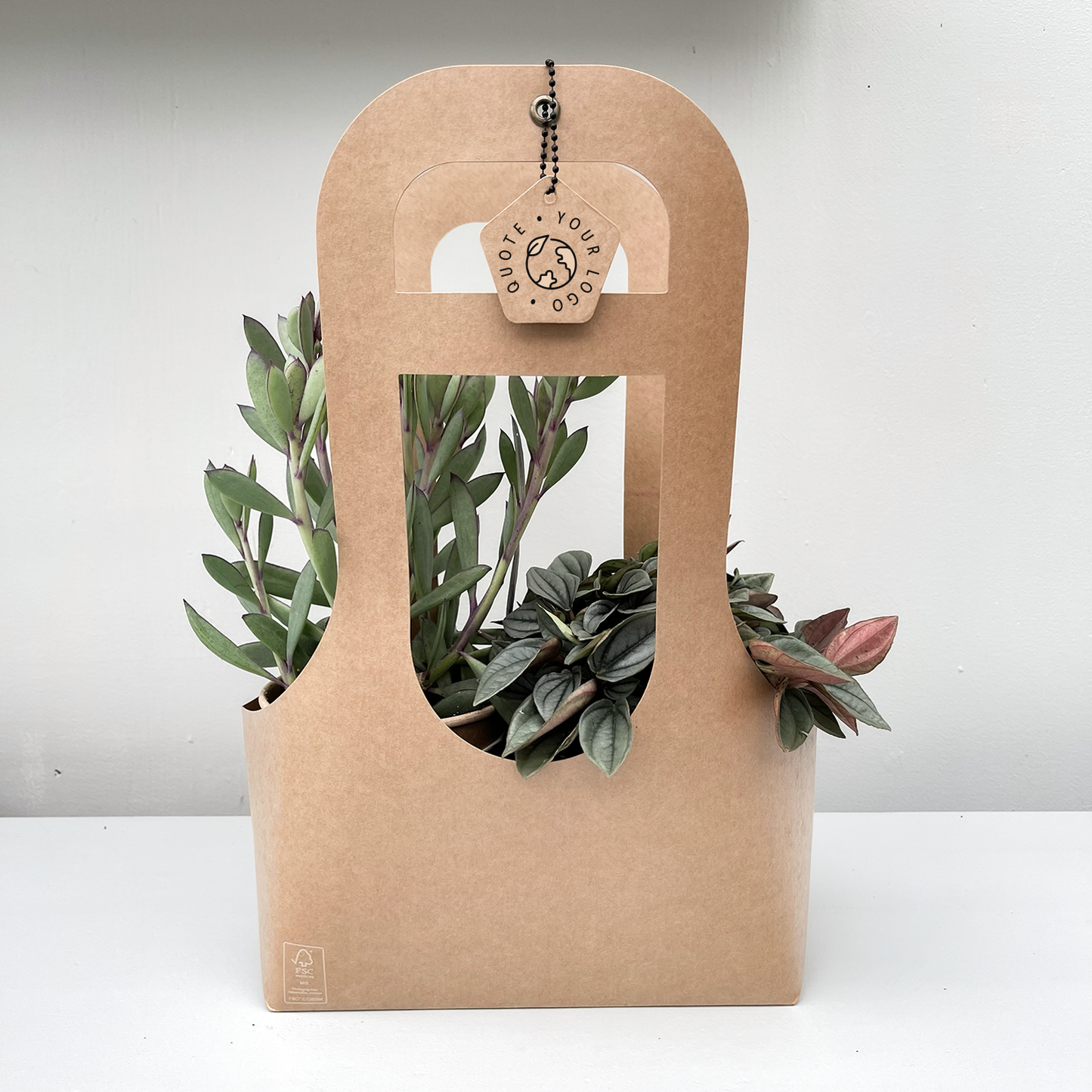 PLANTbag L | BIO Succulenten | 8 stuks