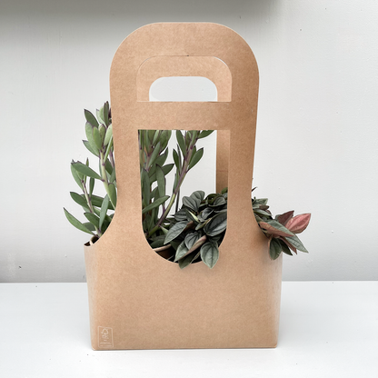 PLANTbag L | BIO Succulenten | 8 stuks