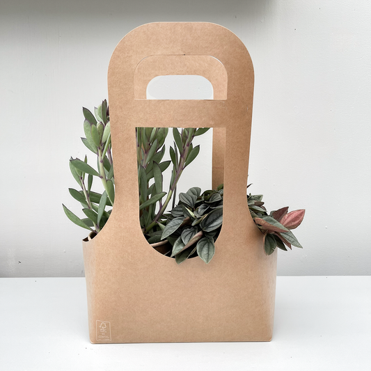 GIFTBAG L - 2 Succulents | Per 8 pieces