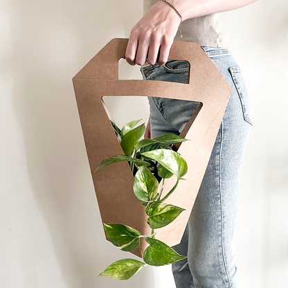 PLANTbag | BIO Succulenten | 10 stuks