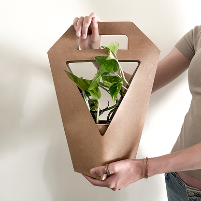 PLANTbag M | BIO Kamerplanten | 10 stuks