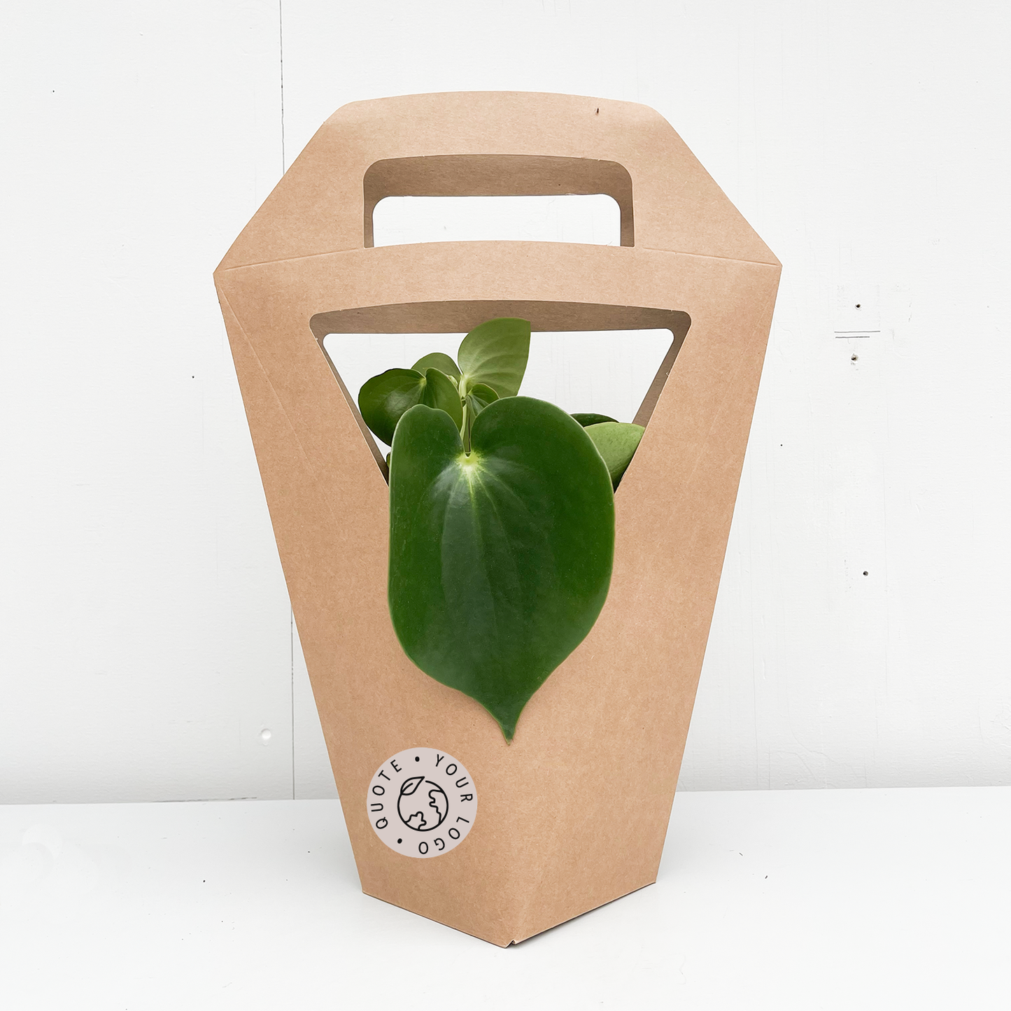 PLANTbag M | BIO Kamerplanten | 10 stuks