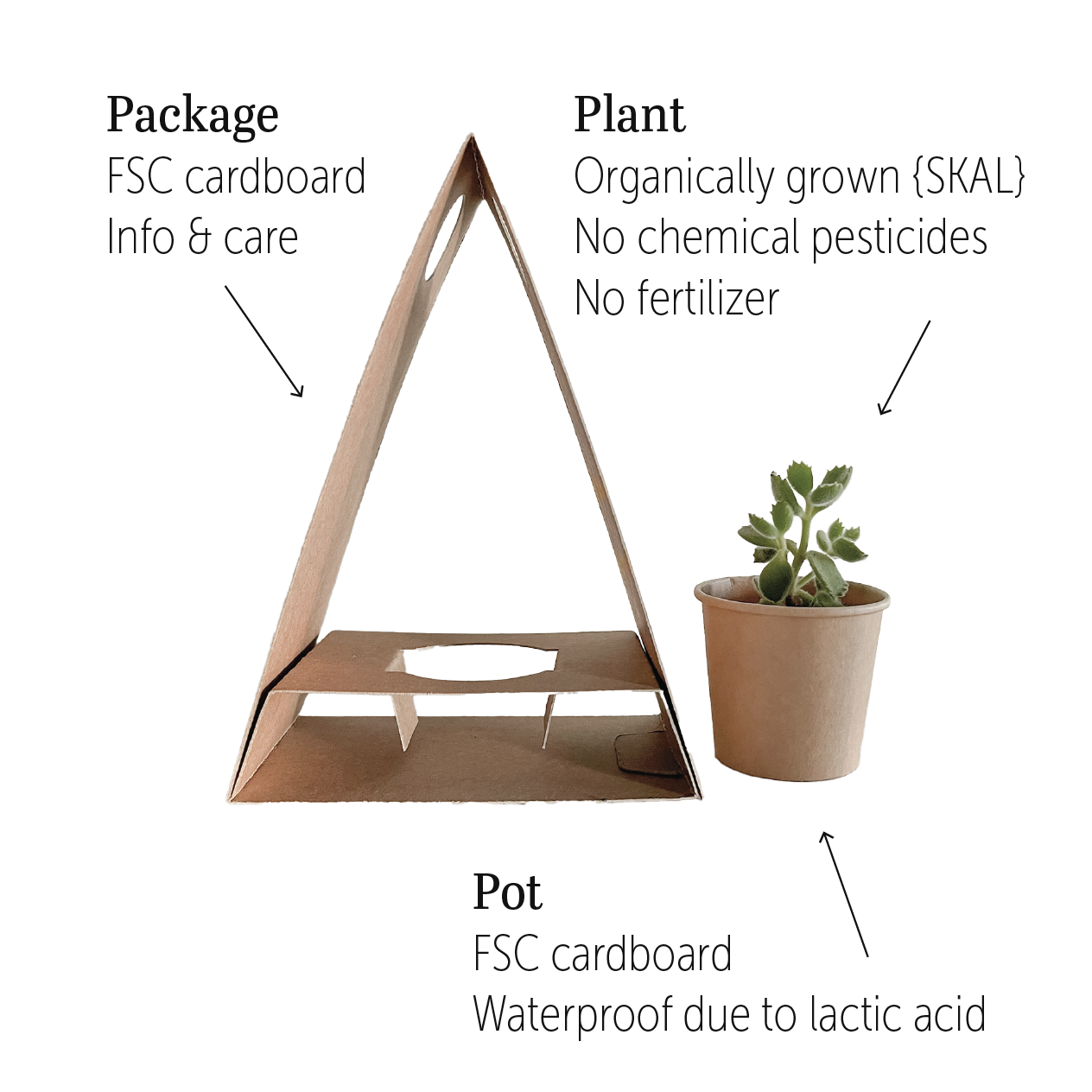 PLANTbag S | BIO Succulenten | 15 stuks