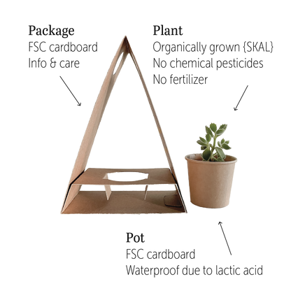 PLANTbag S | BIO Succulenten | 15 stuks