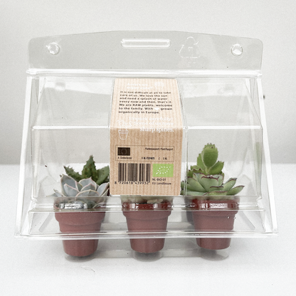 The Little Greenhouse  | 18 stuks