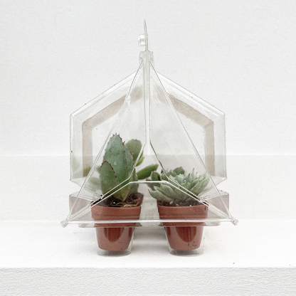 The Little Greenhouse  | 18 stuks