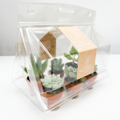 The Little Greenhouse  | 18 stuks