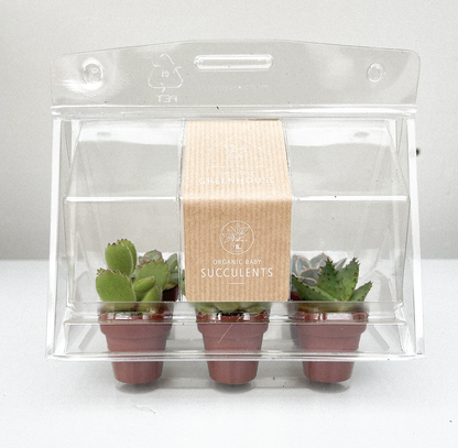 The Little Greenhouse  | 18 stuks