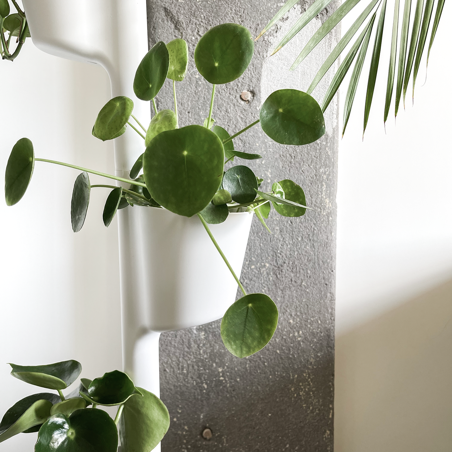 Vertical Planter - Wit - Modulair