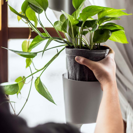 Vertical Planter - Grey - Modular