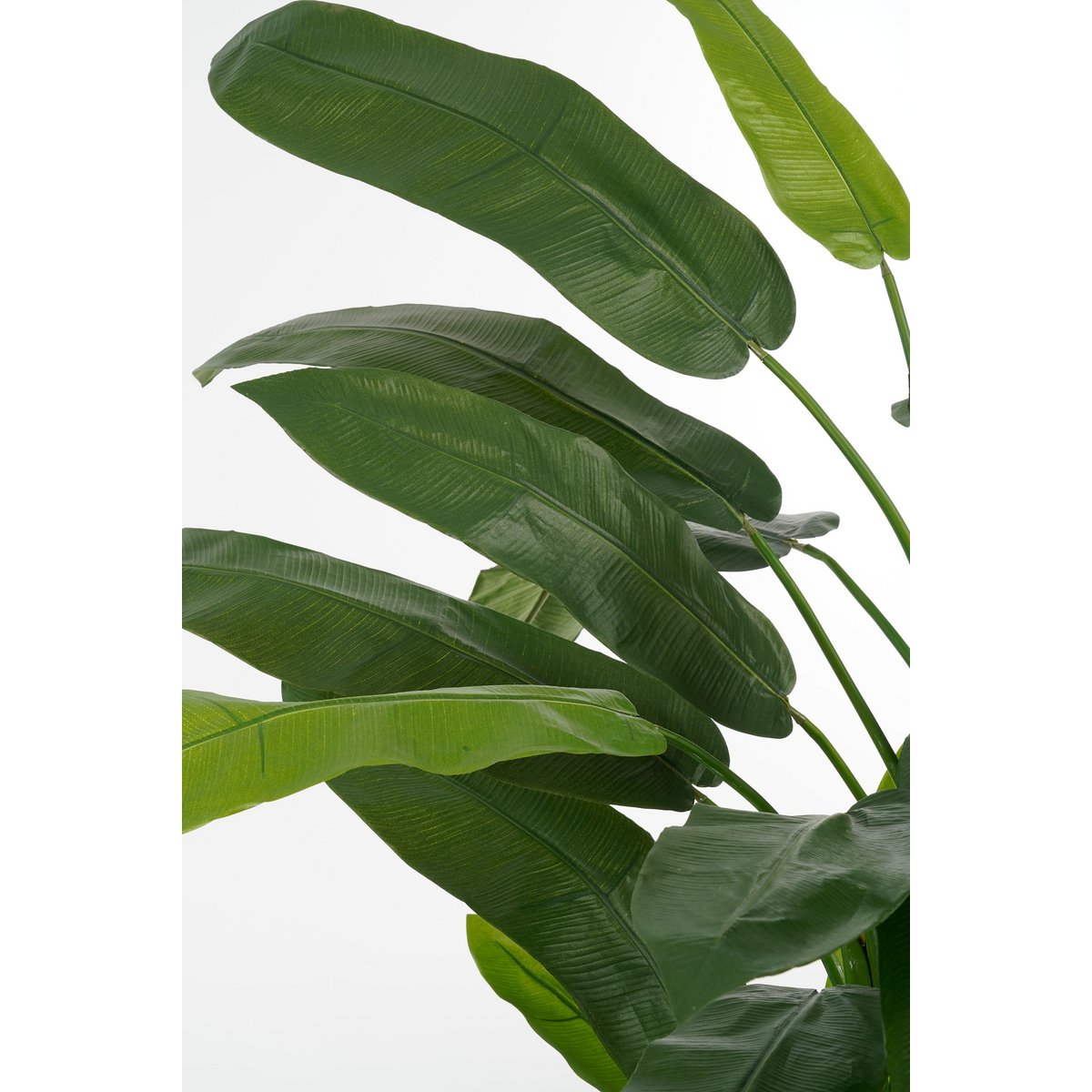 Heliconia Kunstplant - H175 x Ø140 cm - Groen