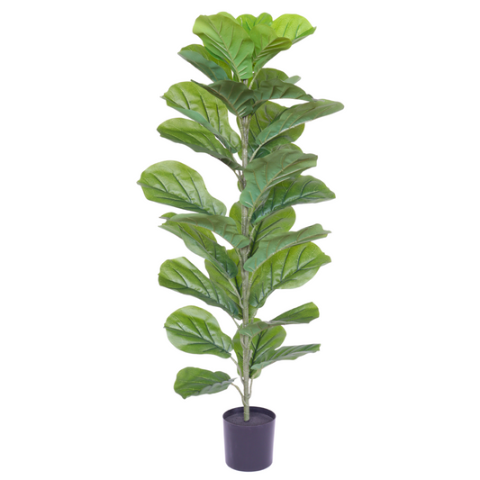 Ficus Kunstplant 100cm