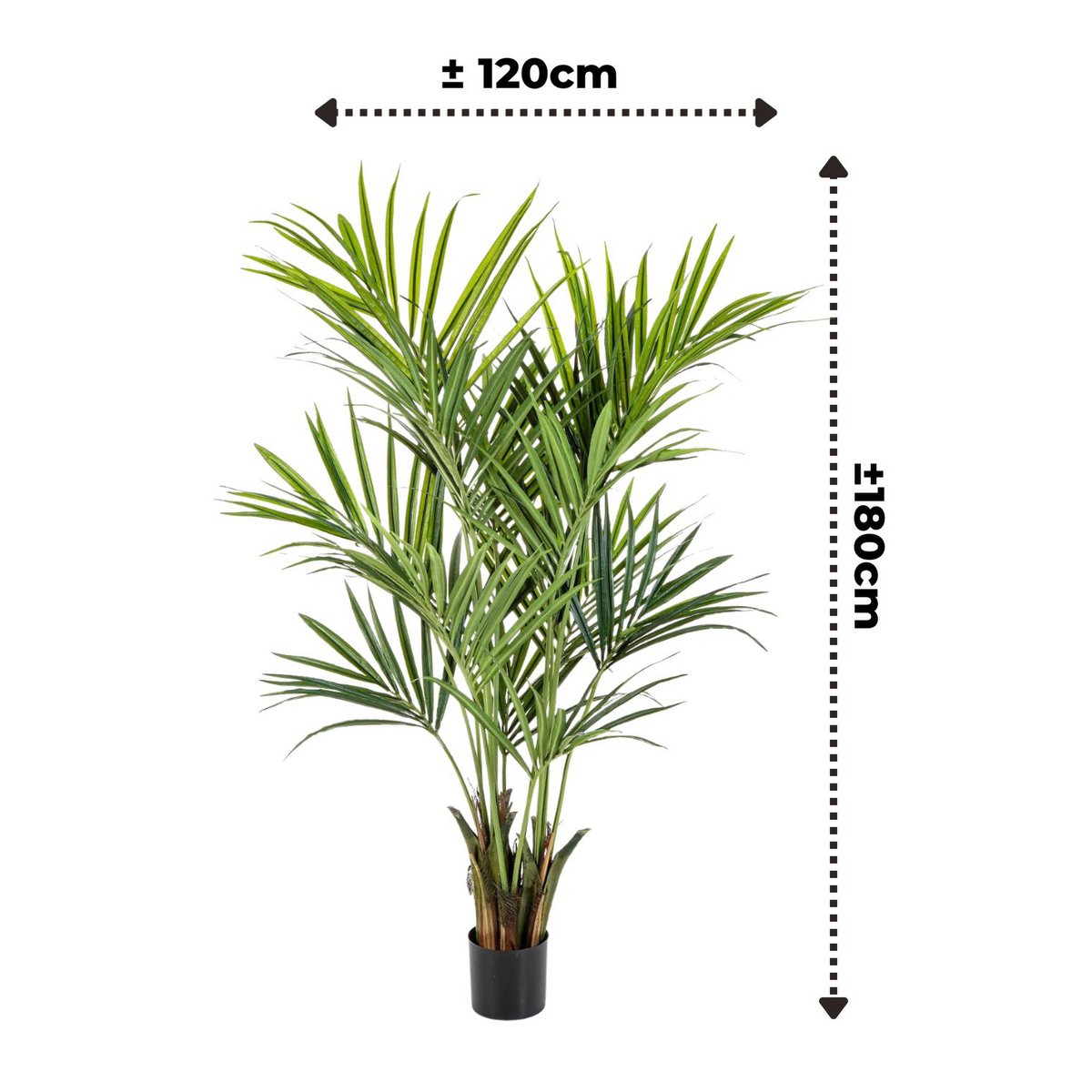 Kentia Kunstpalm 180cm