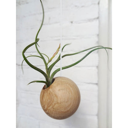 Hanging ball - Light Oak