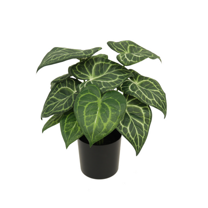 Syngonium Kunstplant 30 cm