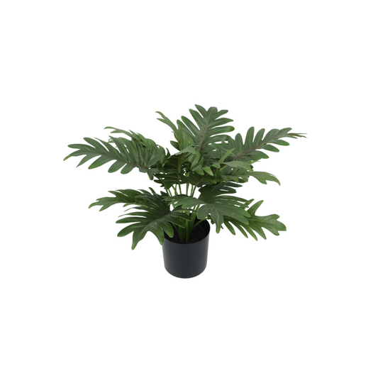 Philodendron Kunstplant 40cm