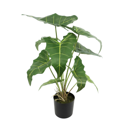 Alocasia Kunstplant 60cm