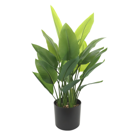 Strelitzia Kunstplant 70cm