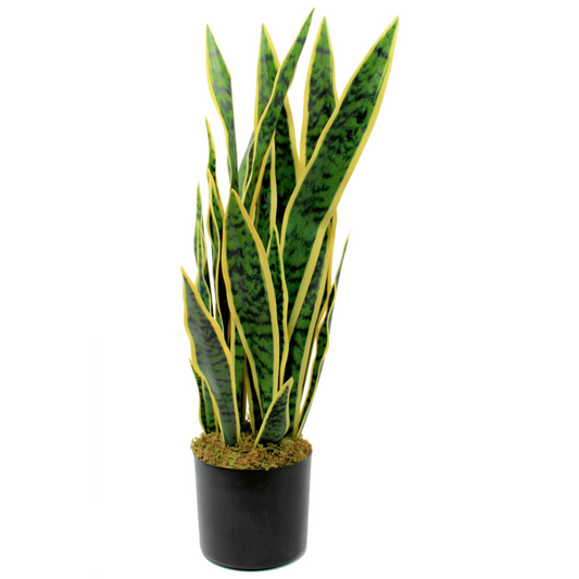 Sansevieria Kunstplant 70cm