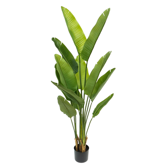 Strelitzia Kunstplant 160cm