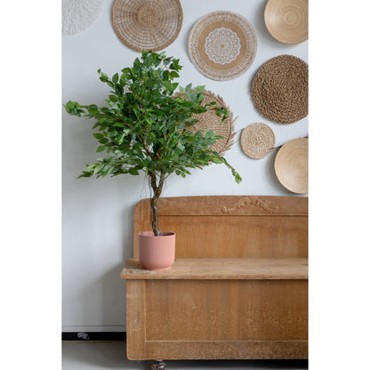 Ficus Kunstboom 100cm