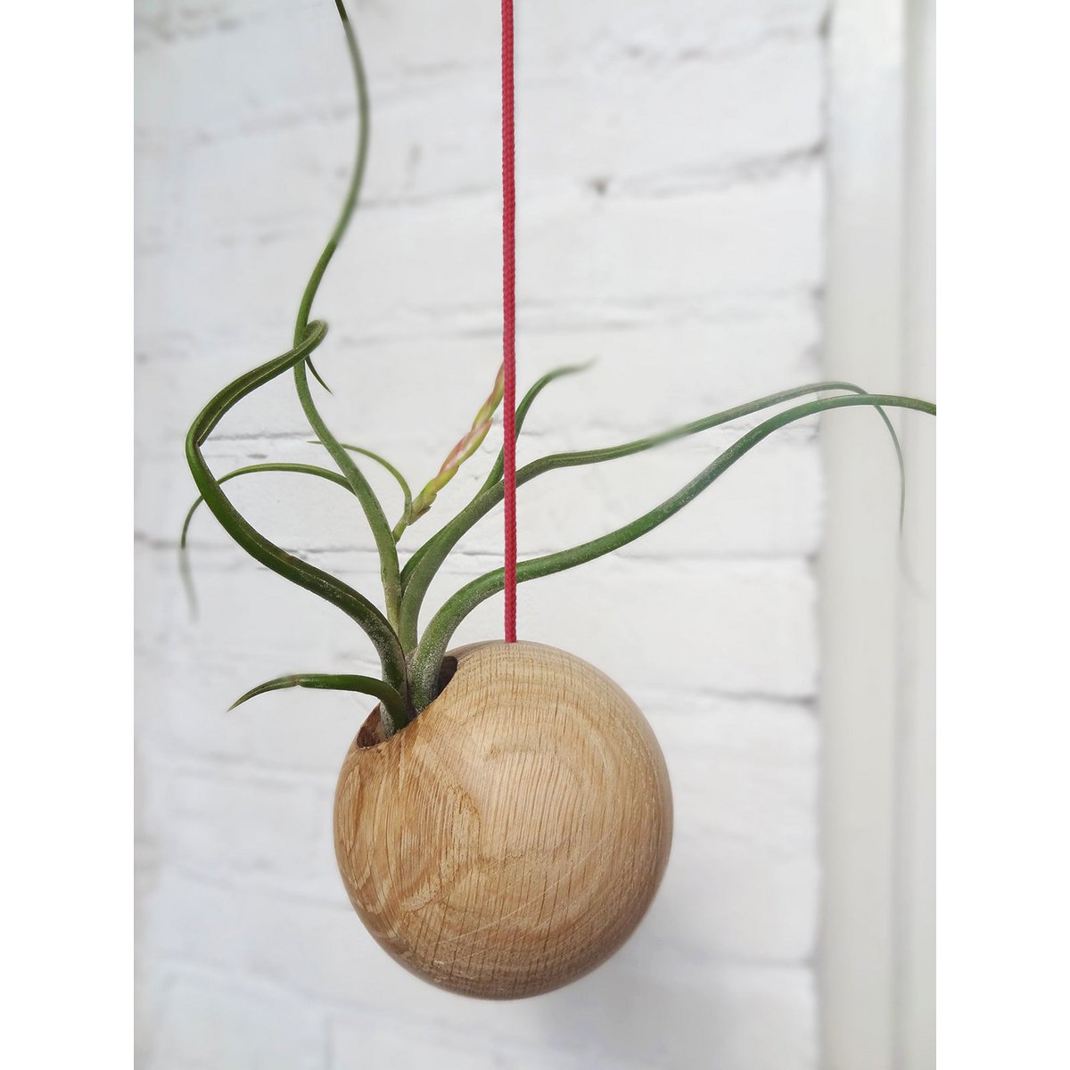 Hanging ball - Light Oak