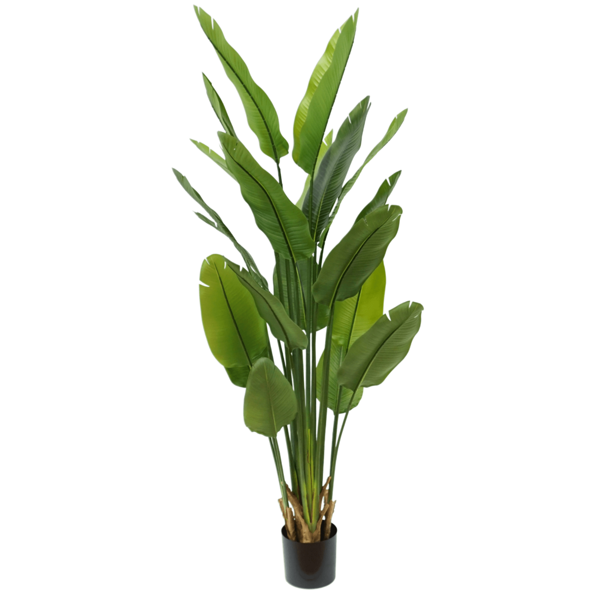 Strelitzia Kunstplant 180cm