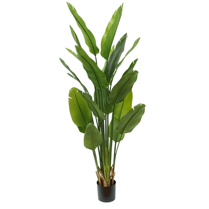 Strelitzia Kunstplant 180cm