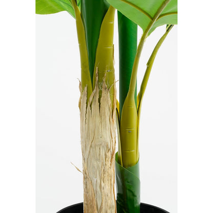 Strelitzia Kunstplant - H150 x Ø40 cm - Groen