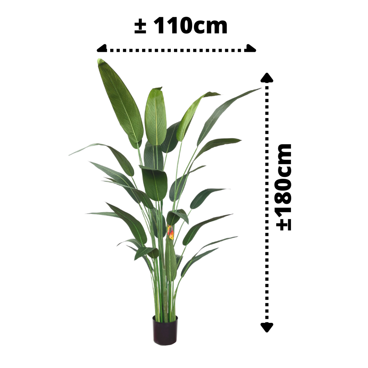 Strelitzia Kunstplant Met Bloem 180cm