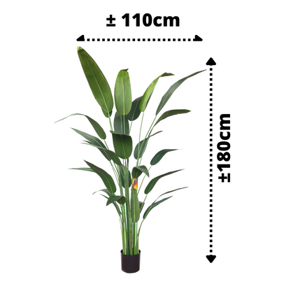 Strelitzia Kunstplant Met Bloem 180cm