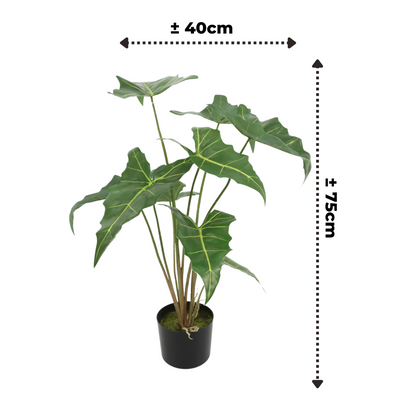 Alocasia Kunstplant 75cm