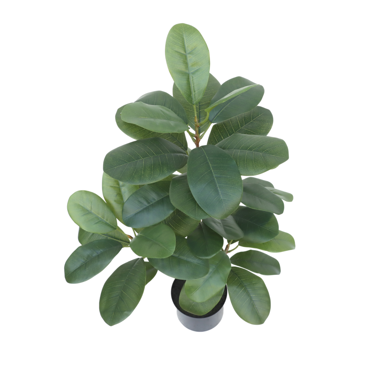 Ficus Kunstplant 80cm