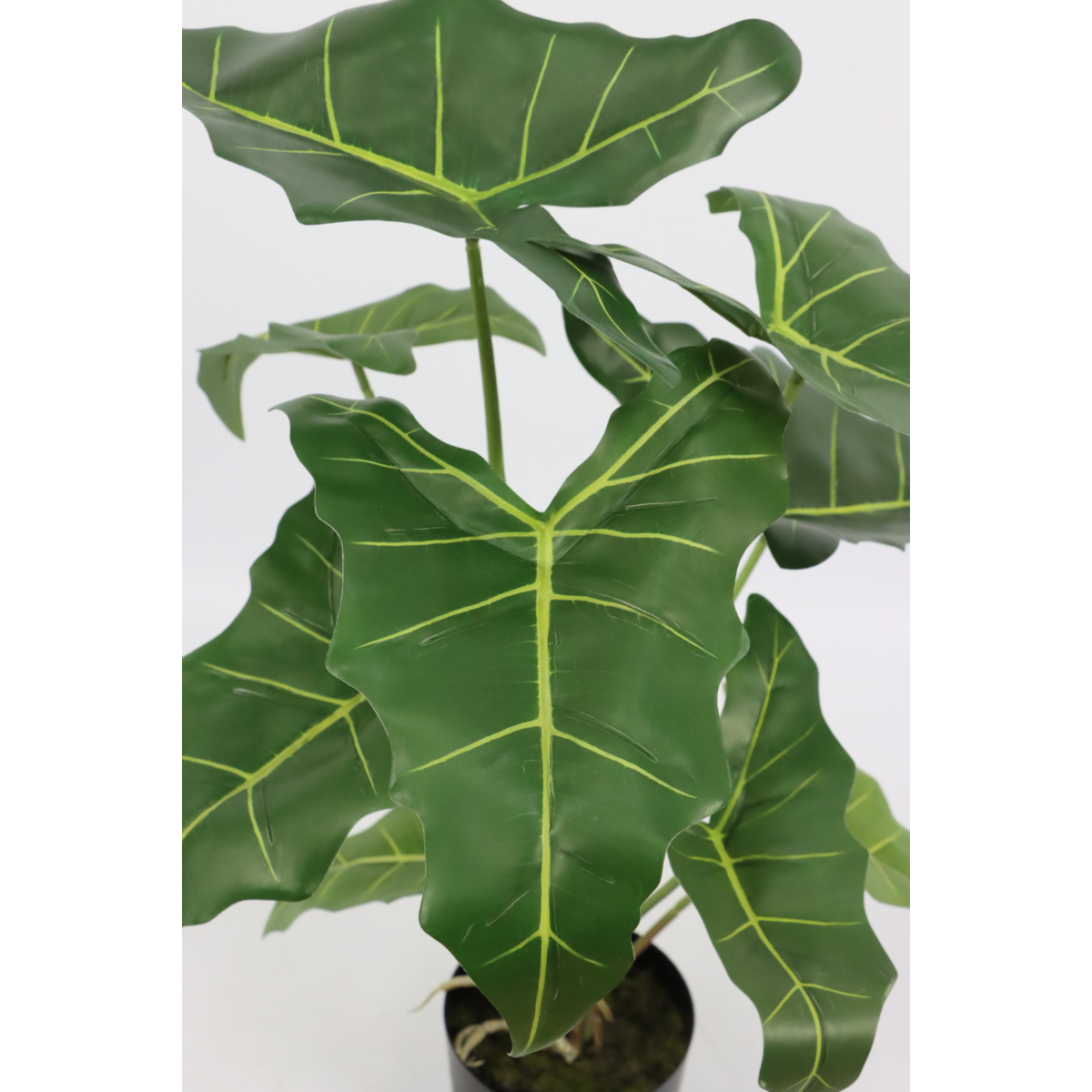 Alocasia Kunstplant 60cm