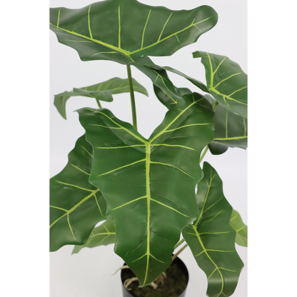 Alocasia Kunstplant 60cm