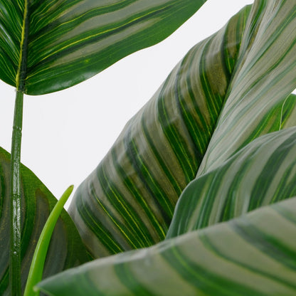 Calathea Orbifolia Kunstplant - H90 x Ø60 cm - Groen