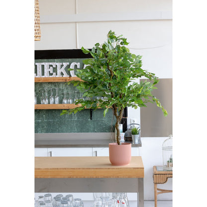 Ficus Kunstboom 100cm