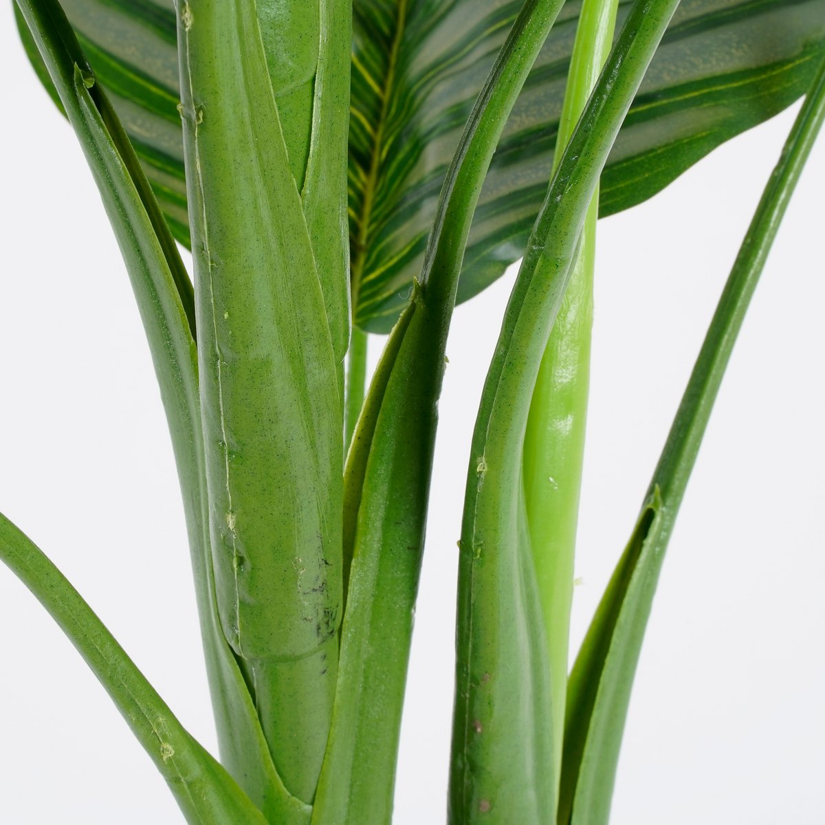 Calathea Orbifolia Kunstplant - H90 x Ø60 cm - Groen