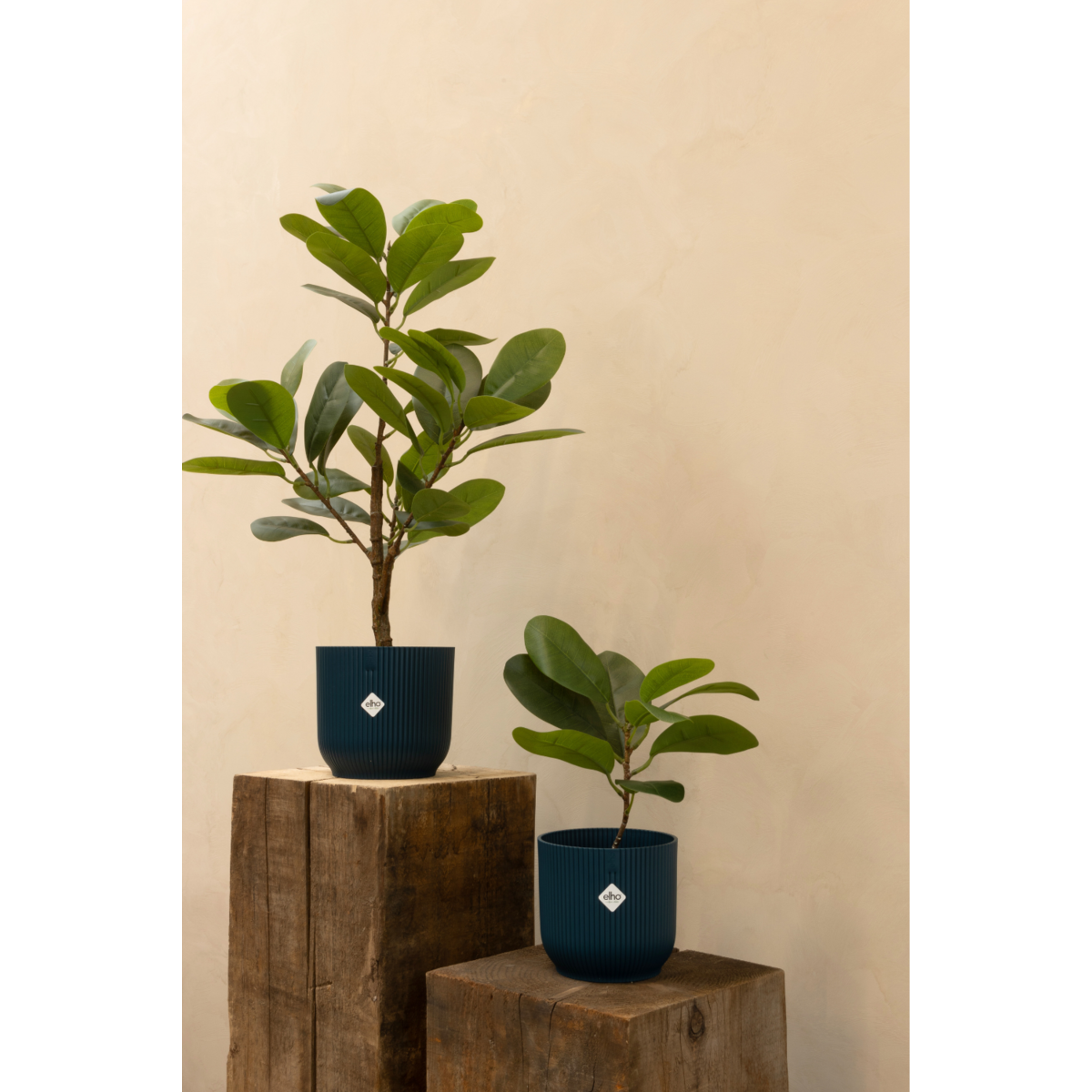 Ficus Kunstplant 35cm