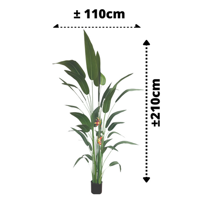 Strelitzia Kunstplant Met Bloem 210cm